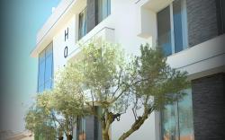 LAM Hotel Villa Aljustrel