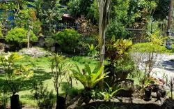 Yuke's Bed & Breakfast