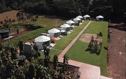  The Meadow Glamping Resort