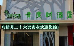 Vatica Hotel Fuyang Linquan Tenghui International City Branch