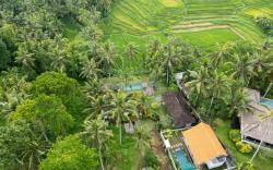 Green Sari Private Villa