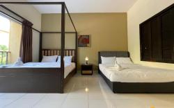 Studio - Gold Coast Morib [A3171]