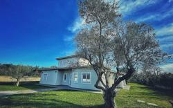 Guest House Montestallone