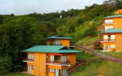 Ficus Sunset Suites