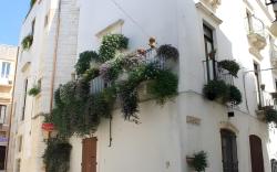 Casa Riccardi