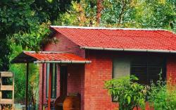 Kisan Eco Farm