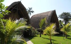 Rhipidura Bungalows