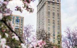 The Pierre, A Taj Hotel, New York