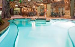 Holiday Inn Hotel & Suites Madison West - Middleton By IHG