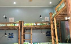Lionfish Backpackers Malapascua