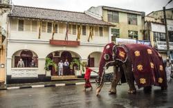 Royal Bar and Hotel
