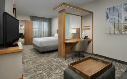 SpringHill Suites by Marriott Tuscaloosa