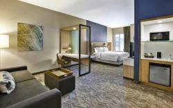 SpringHill Suites by Marriott Pittsburgh Butler/Centre City