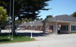 BUTTERFLY GROVE INN