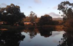 Halls Haven Resort