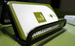 Tulip Hotel