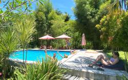 Pedidi Penida Hostel