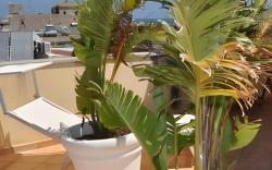 Rooms and Breakfast Zefiro