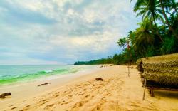 Unakuruwa Ravenala Homestay