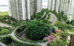 forestcity余水知欢13