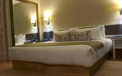 Hotel Plaza Revolucion
