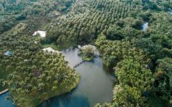 Caliraya Ecoville Recreation Farm & Resort