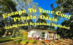 Serene Mountain Escape + Breakfast + Entire House