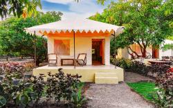 Amber ReSort