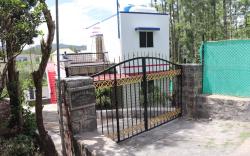 Pine villa garden 