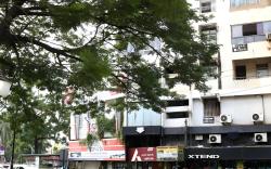 Viva Guest House