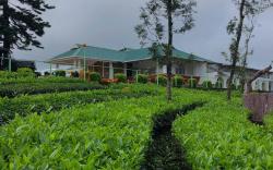 Meghamala Resorts