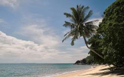 The Boathouse Pulau Tioman 