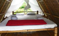 Harmony Healing Resort
