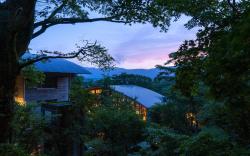 Hakone Retreat före