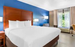Comfort Inn Greenville - Haywood Mall