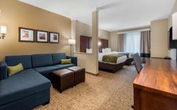 Comfort Suites Denver near Anschutz Medical Campus
