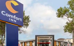 Comfort Inn South