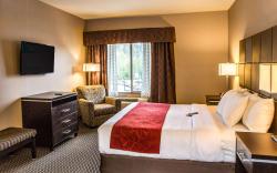 Comfort Suites