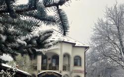 вілла "Токай"