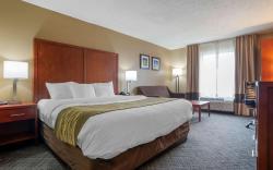 Comfort Inn University Area