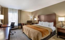 Comfort Inn Walcott near Davenport