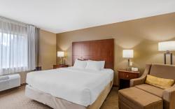 Comfort Inn & Suites East Moline near I-80
