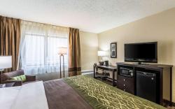 Comfort Inn Detroit Downtown