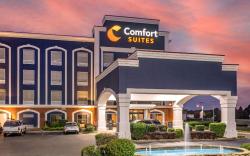 Comfort Suites Olive Branch West