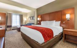 Comfort Suites near Camp Lejeune