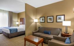 Comfort Inn & Suites Lynchburg Airport - University Area