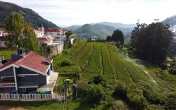 Tiger Hill Homestay
