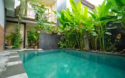 Pakvo's House