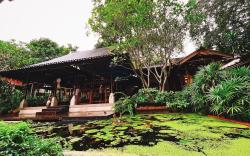 Garden Stay by Wanathara