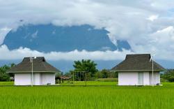 New House Porhdoi Goidao